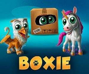 Boxie Boxie