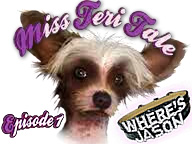 Miss Teri Tale Deluxe